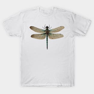 Common Green Darner Dragonfly Entomology T-Shirt